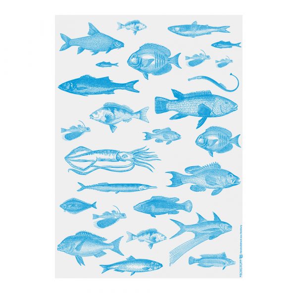 Das Frohstoff Geschenkpapier mit dem Motiv Fische in der Farbe Aqua