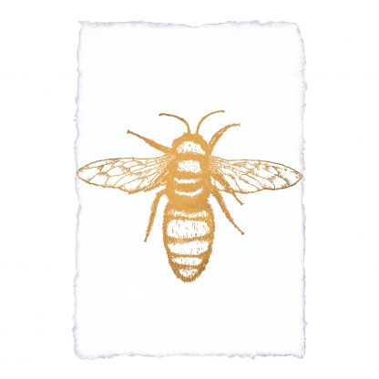 Kunstdruck Biene