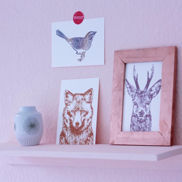 Frohstoff Postkarten mit Fuchs, Rehbock und Wolf Motiv vor einer rosanen Wand