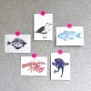 Postkarten Set - Maritim