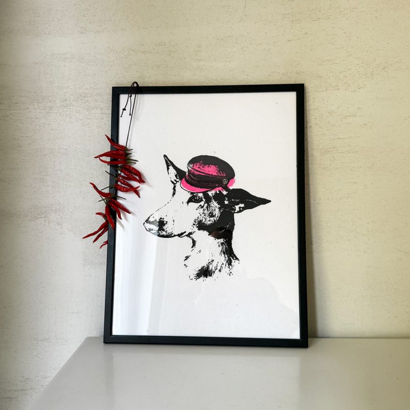 Frohstoff Poster mit einem Pidenco namens Pipe mit einer Mütze auf