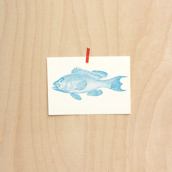 Frohstoff Postkarte mit blauem Barsch blauer Fisch mit rotem Klebeband an einer Holzwand