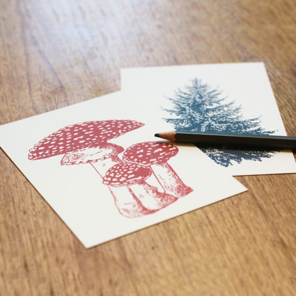 Frohstoff Postkarte Fliegenpilz rot Tanne grün auf einem Holztisch mit einem Buntstift