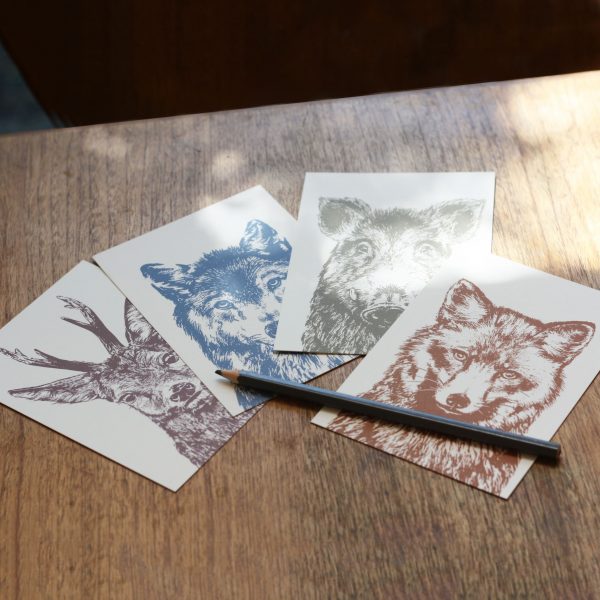 Frohstoff Verschiedene Postkarten Rehbock Wolf Fuchs Keiler auf einem Tisch ausgebreitet mit einem Buntstift