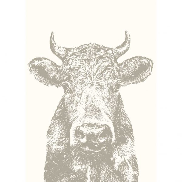 Die Frohstoff Postkarte mit Motiv Kuh in der Farbe schlamm
