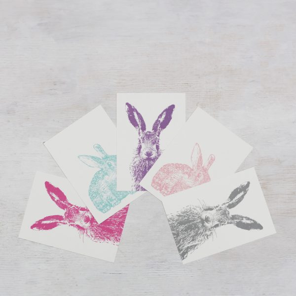 Das Postkartenset Klopfer mit verschiedenen Hasen und Wildkaninchenmotiven
