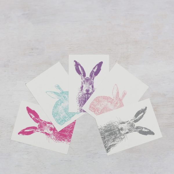 Das Postkartenset Klopfer mit verschiedenen Hasen und Wildkaninchenmotiven