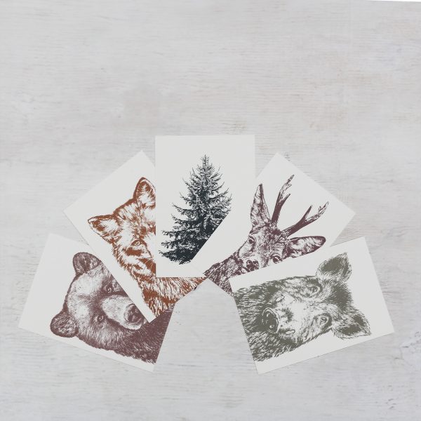 Das Postkartenset Wald mit verschiedenen Waldtieren als Motiv