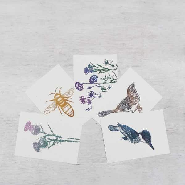 Das Postkartenset Wiese mit verschiedenen Tier und Floragrafiemotiven
