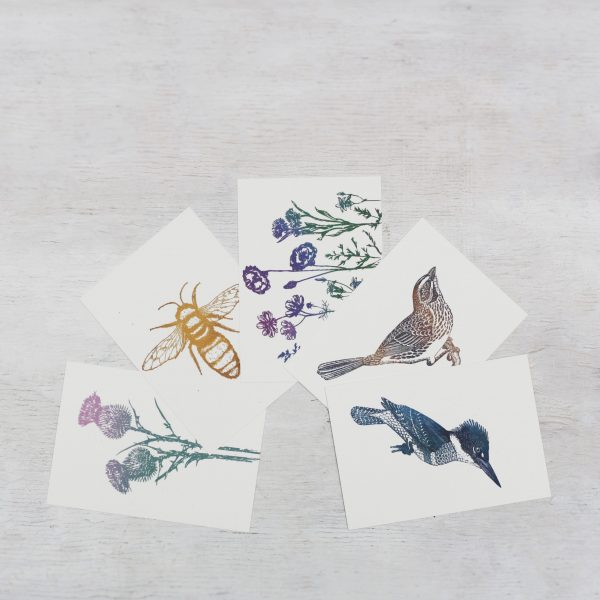 Das Postkartenset Wiese mit verschiedenen Tier und Floragrafiemotiven