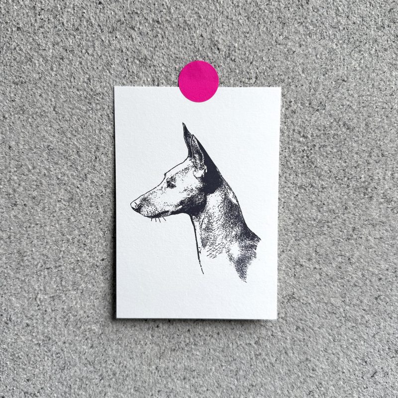 Frohstoff Postkarte mit dem Motiv Amber in anthrazit