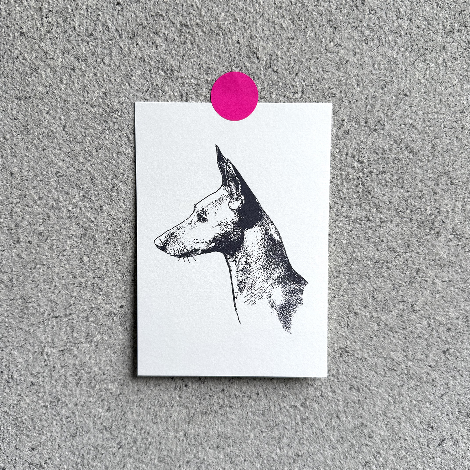 Postkarte Amber