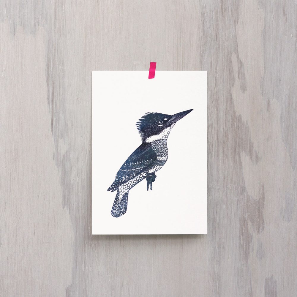 Frohstoff Postkarte mit dem Motiv Eisvogel mit Irisdruck.