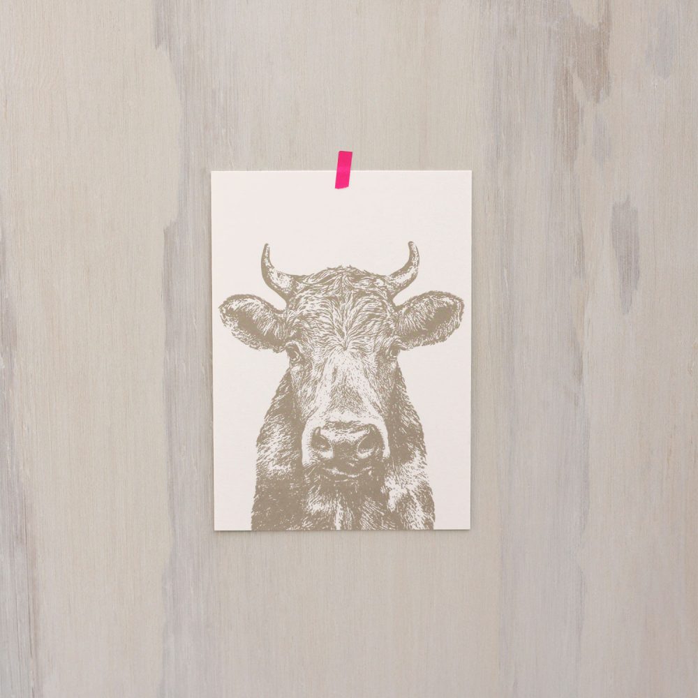 Frohstoff Postkarte mit dem Motiv Kuh in Schlamm.
